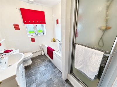 Picture 20